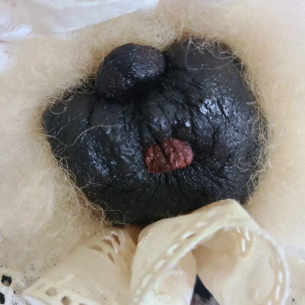 Rare Vintage Apple Whimseys Real Apple Face Appalachian Folk Art Doll Sew Granny